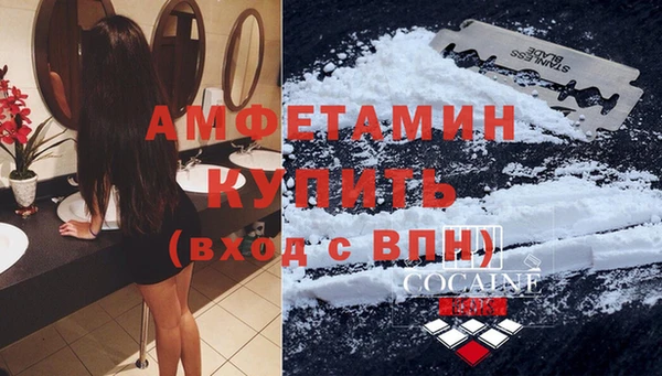 стафф Вязьма